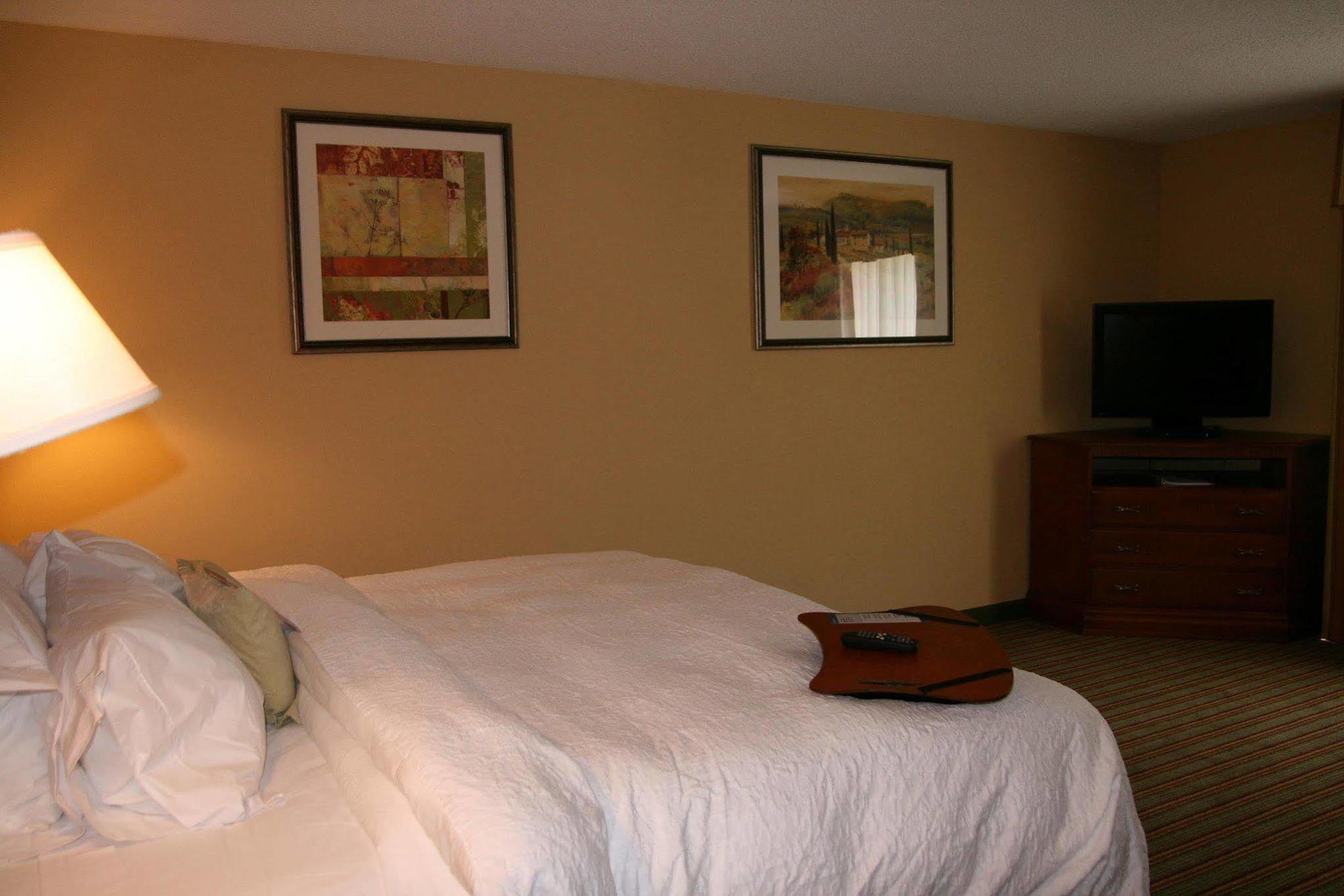 Hampton Inn Elkins Oda fotoğraf